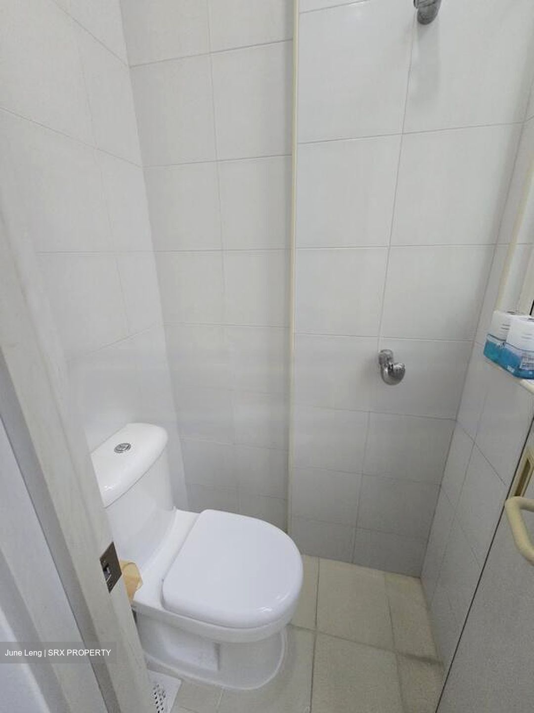 Eden View (D19), Apartment #457900291